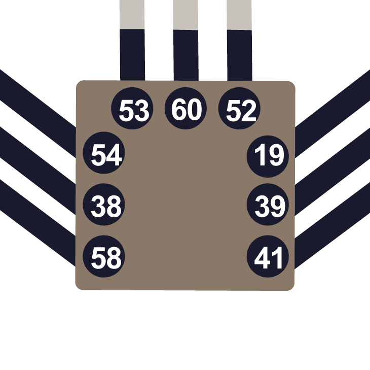 Dettaglio del bodygraph: il Centro della Radice con le porte 58, 38, 54, 53, 60, 52, 19, 39 e 41